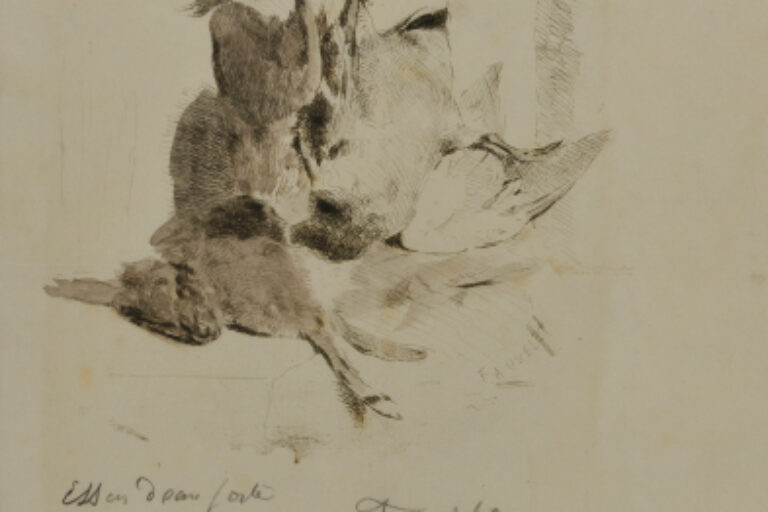 RABBIT AND DUCK