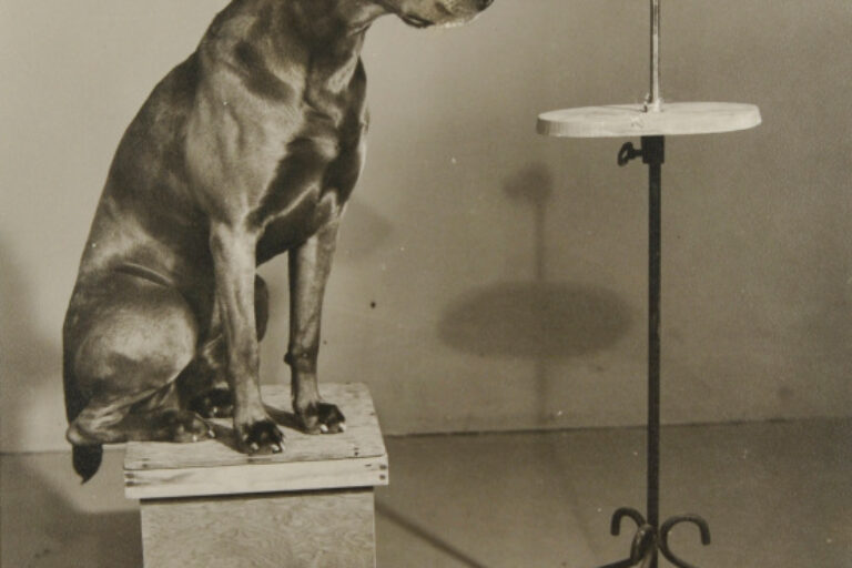 CONTEMPLATING THE BUST OF MAN RAY