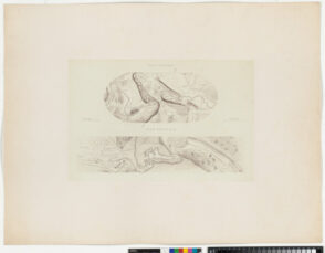 Route impériale no. 119, de Carcassone à Saint-Girons. Travaux de rectification des cotes de Baudet, par la grotte naturelle de l’Arize ou du Mas-d’Azil