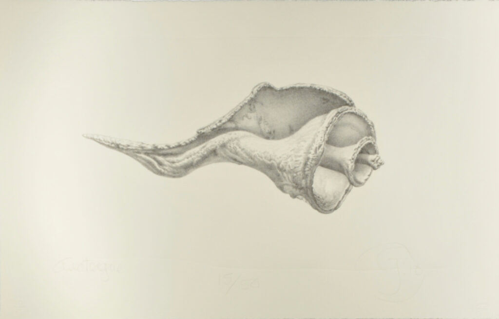 Assateague - Image 2