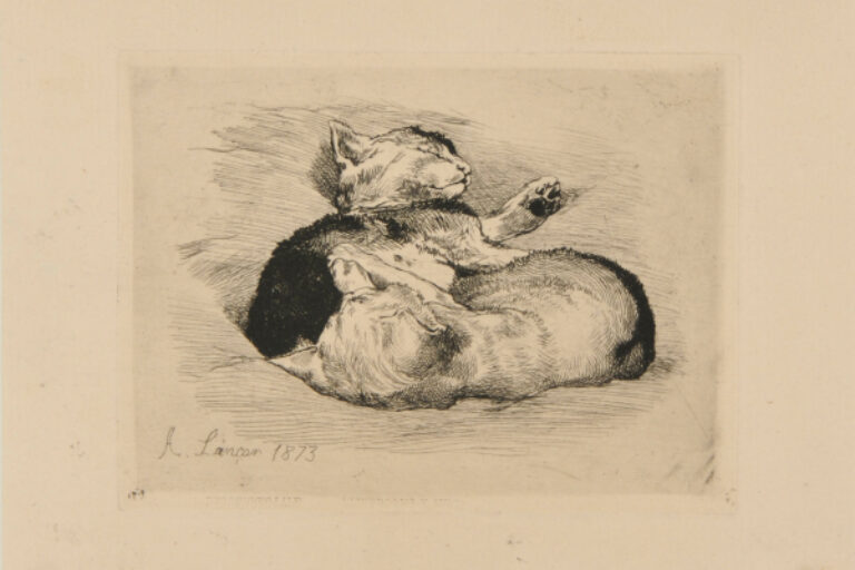 Kittens Sleeping