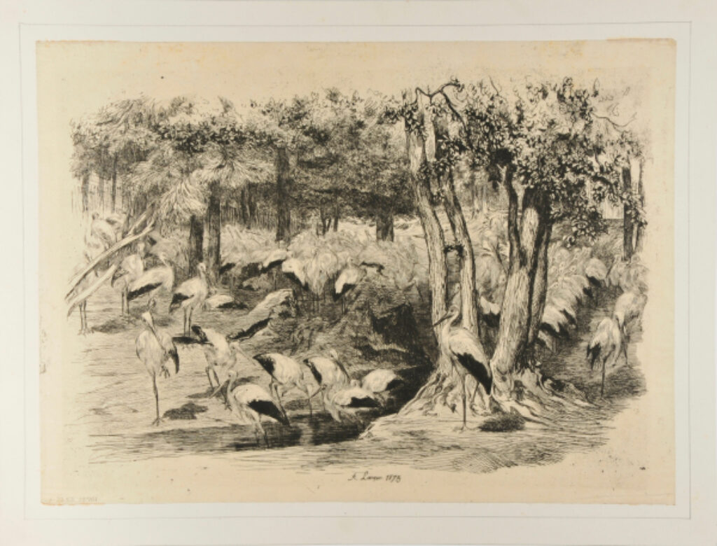 La Cigogniere au Jardin d’Acclimatation