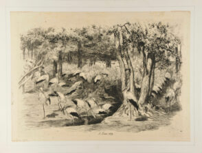 La Cigogniere au Jardin d’Acclimatation