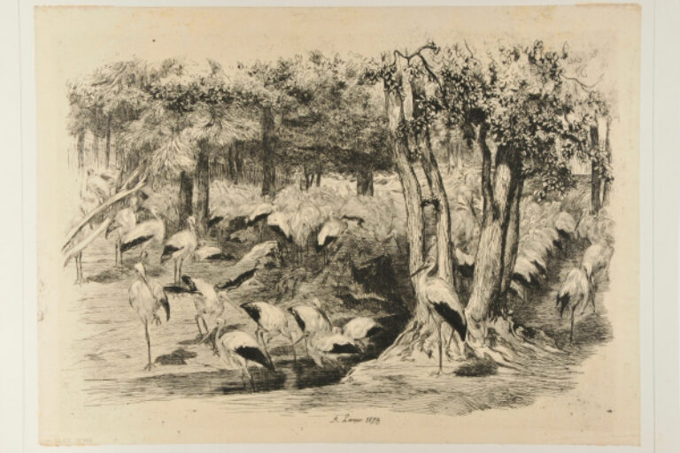 HERON