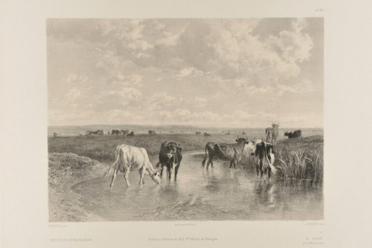 PASTURE IN NORMANDY