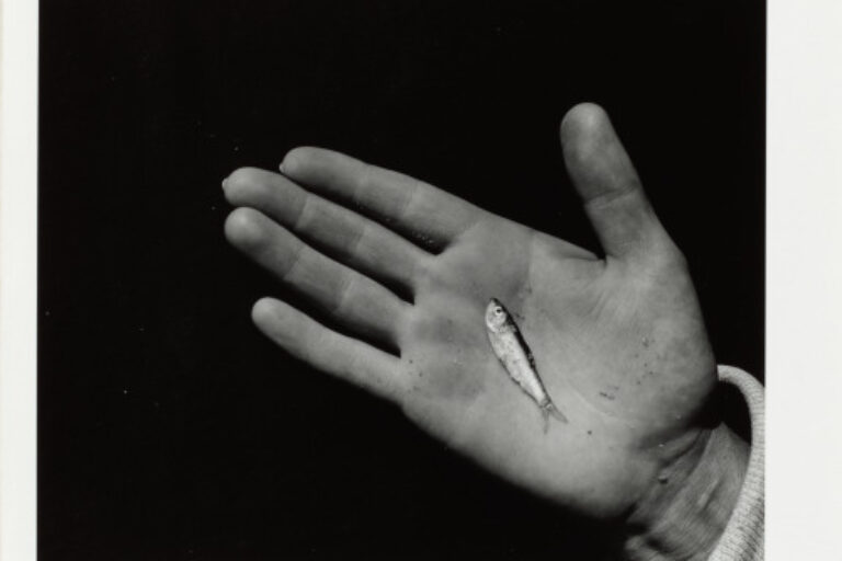 MARTHA'S VINEYARD (HAND WITH MINNOW)