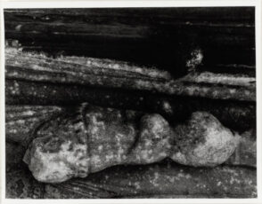 Rome: Arch of Constantine 5