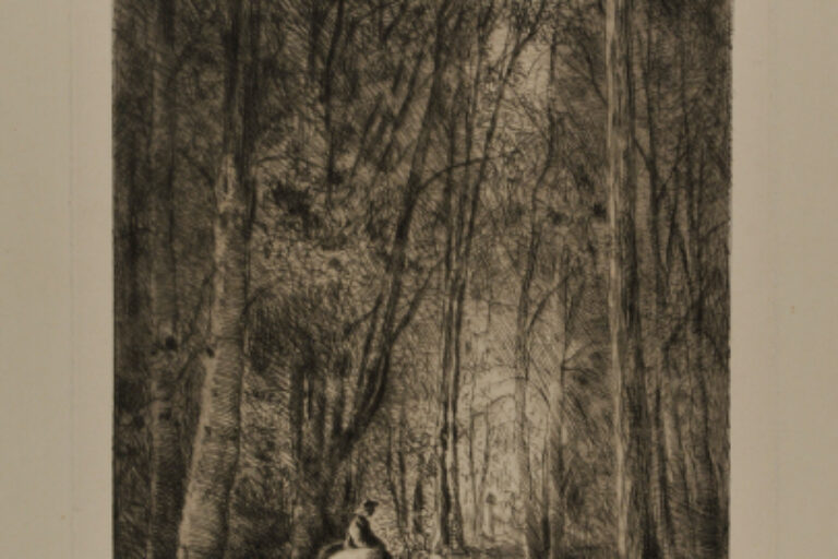 FOREST SCENE