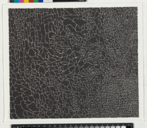 #207