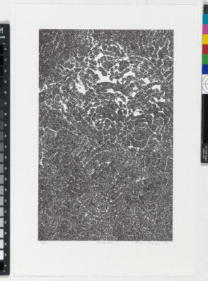 From the portfolio “BOOK ONE”