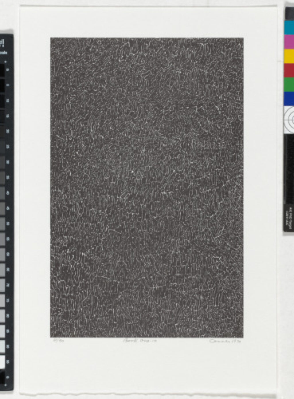 From the portfolio “BOOK ONE”