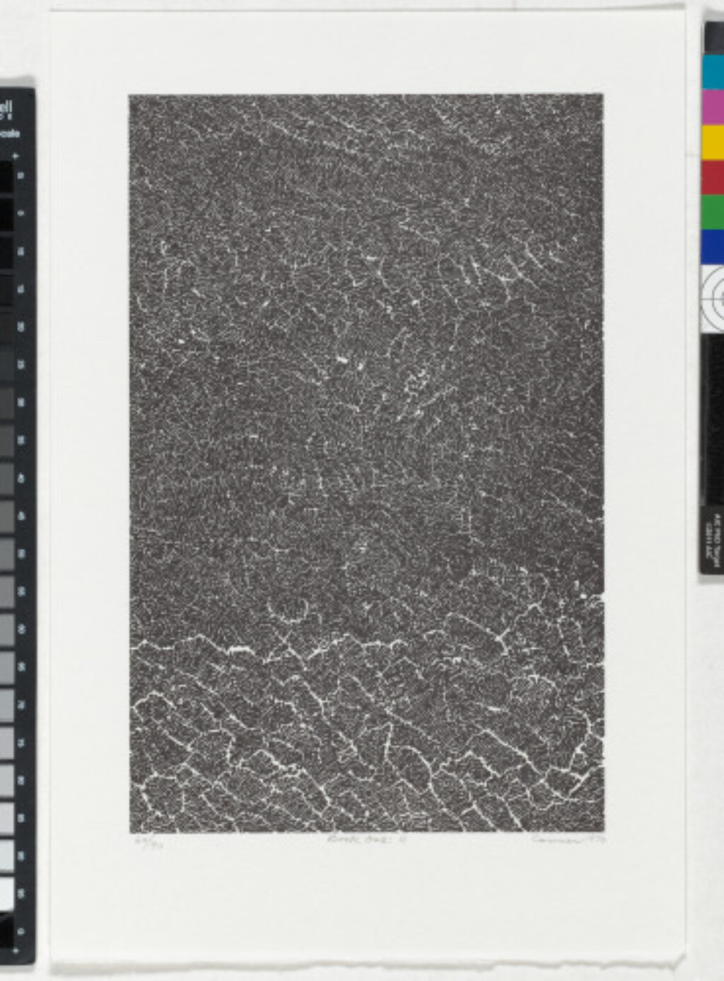 From the portfolio “BOOK ONE”