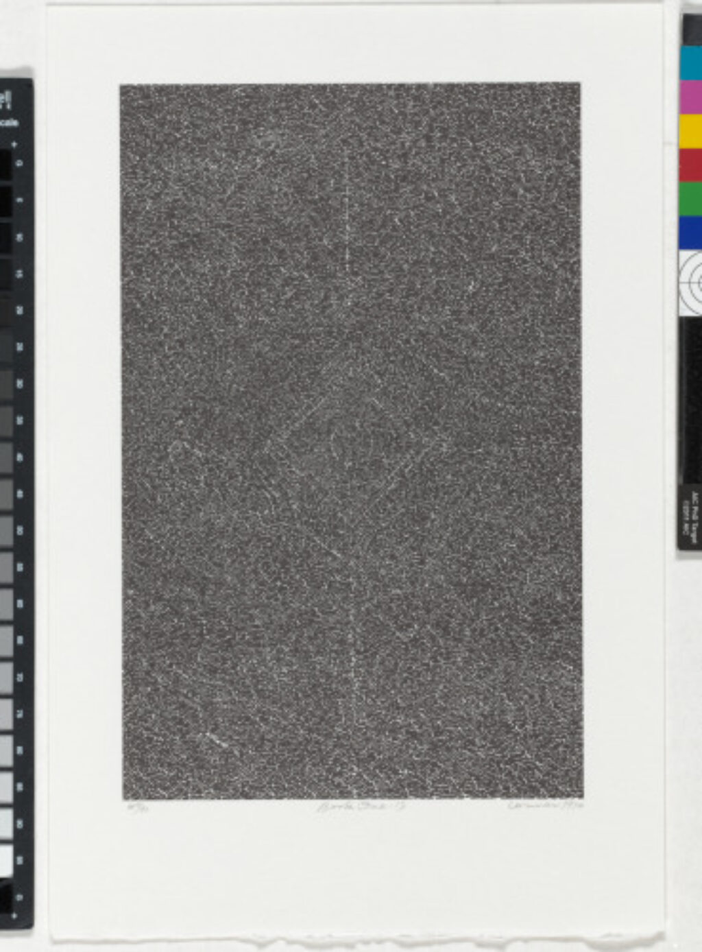 From the portfolio “BOOK ONE”