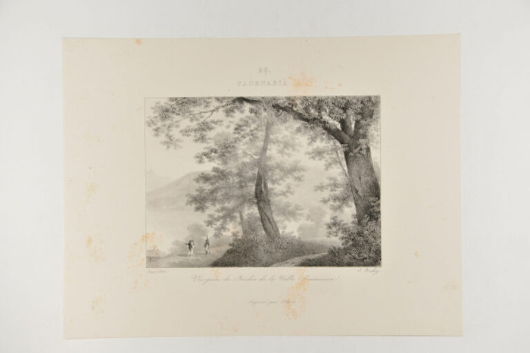 CADENABBIA - VIEW OF THE GARDENS OF THE VILLA SOMMARIVA (VILLA CARLOTTA)