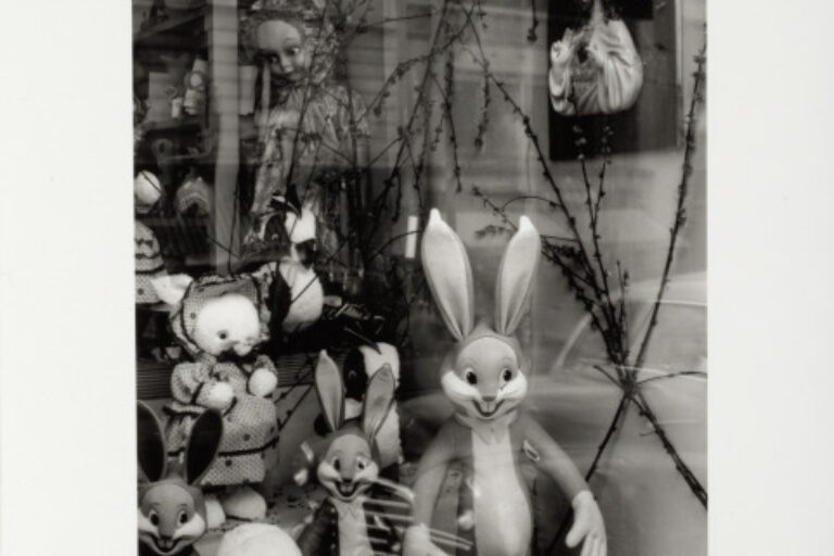 ON WALLS AND BEHIND GLASS, 17