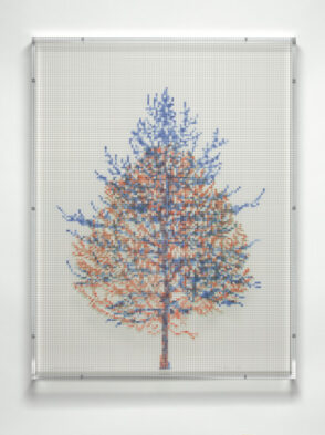 Numbers and Trees, Tiergarten Series 3: Tree #2, May