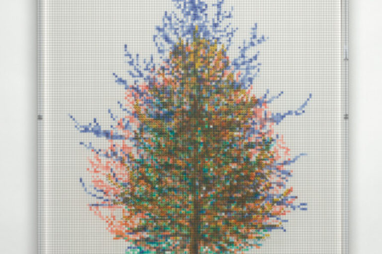 NUMBERS AND TREES, TIERGARTEN SERIES 3: TREE #6, SEPTEMBER