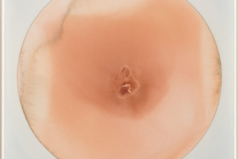 THE MELTING GLOBE (SIENNA, UMBER)