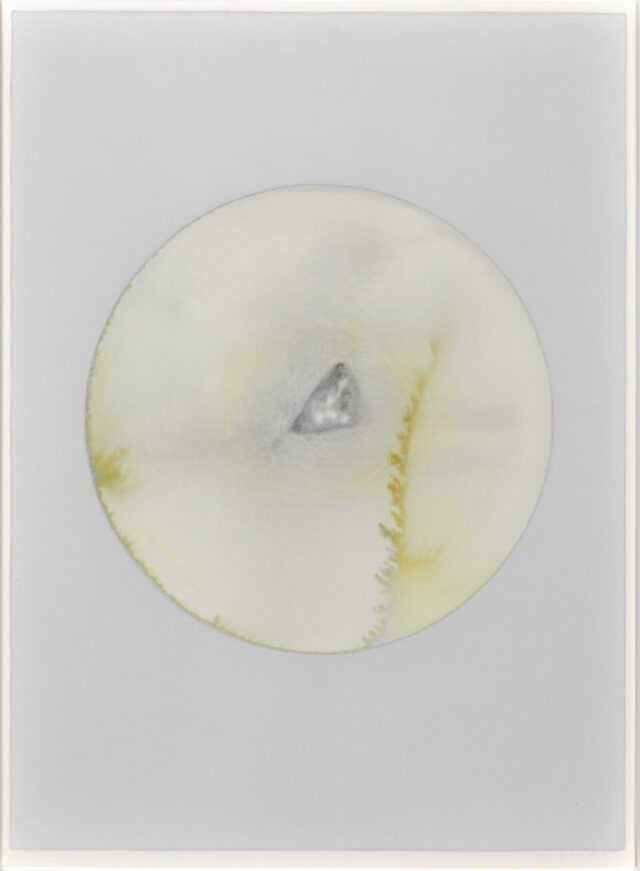 Your memory of now (opening)