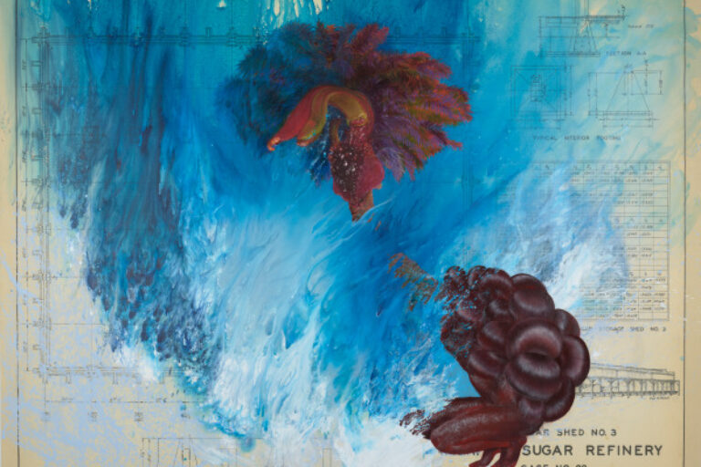 CONVEX (RECALIBRATING A BLIND SPOT)