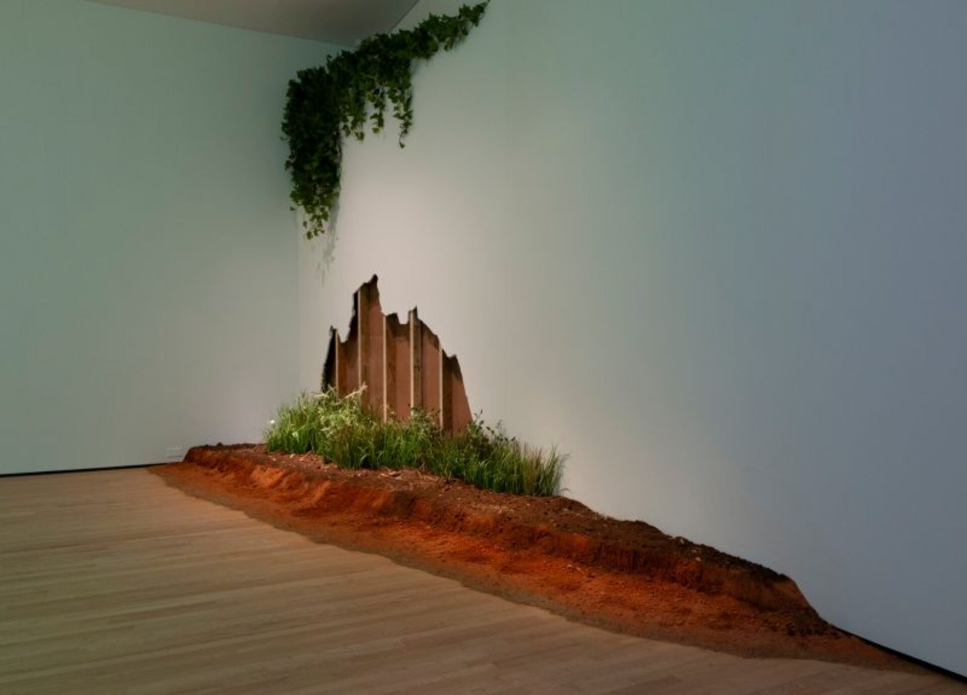 An image of Installation To be of the Earth by V Walton featuring a partially deconstructed gallery wall, hanging vine fragments, peat moss along the floor with roots and faux organics at the Baltimore Museum of Art.