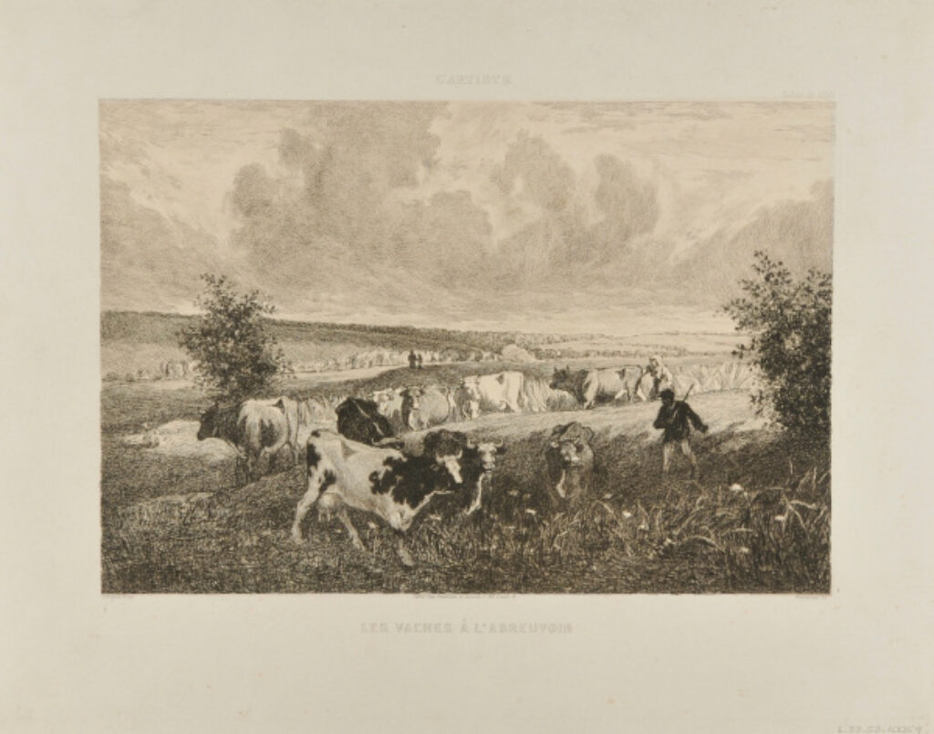 Les Vaches à l’Abreuvoir