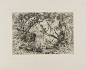 Landscape with pool in a forest