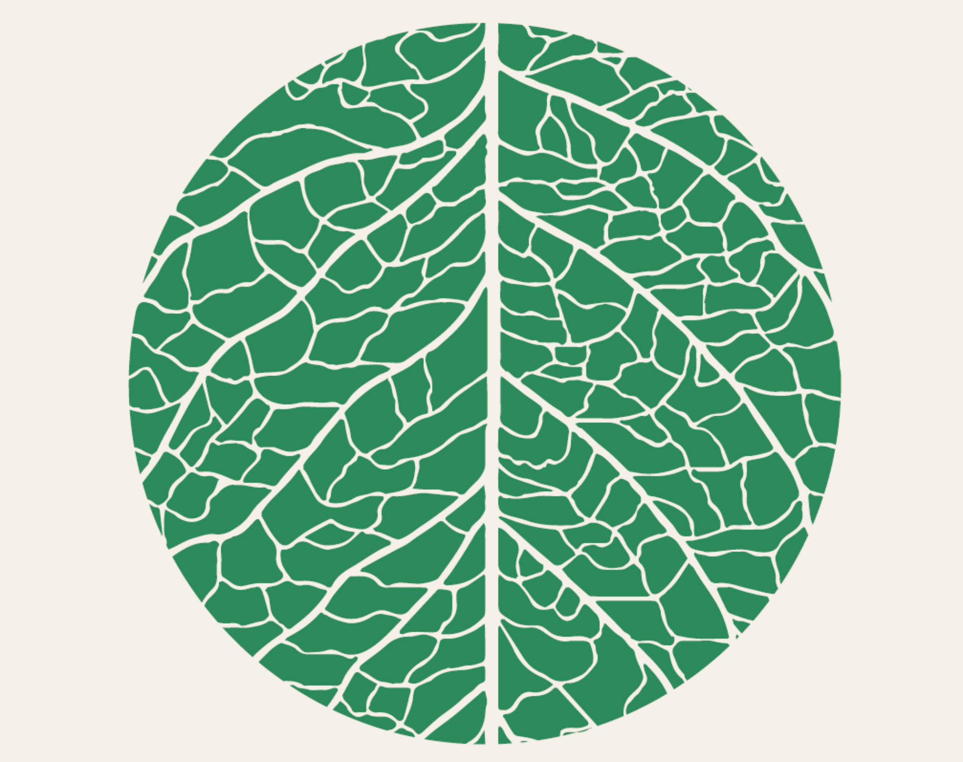 The Impact of Climate Change on Hornbills