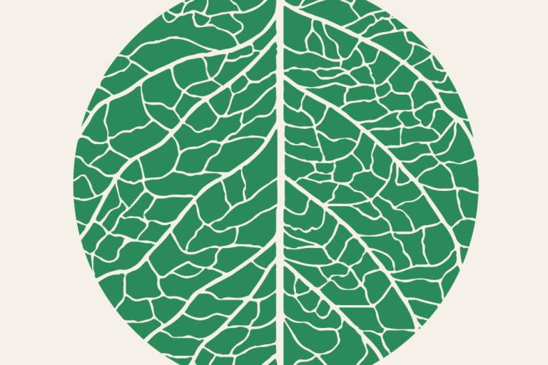 Accessibility Guide: Turn Again to the Earth Sound Stations