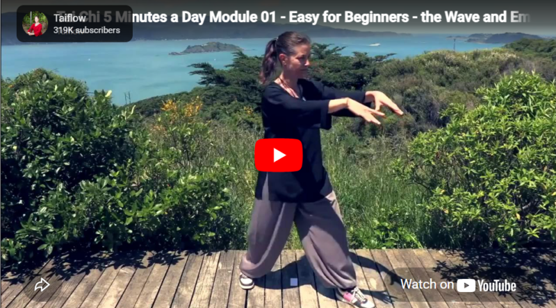 Tai Chi 5 Minutes a Day Module 01 - Easy for Beginners - the Wave and Embracing the Moon