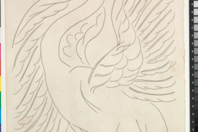 THE SWAN (REFUSED ETCHING)