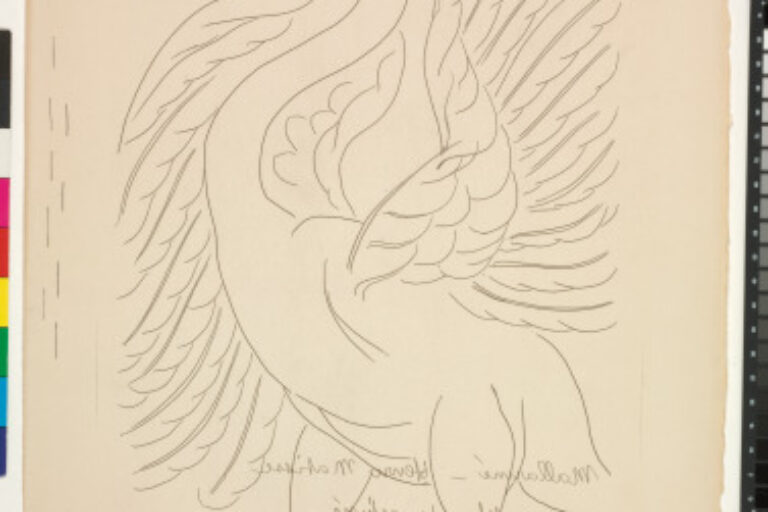 THE SWAN (REFUSED ETCHING, CANCELLED)