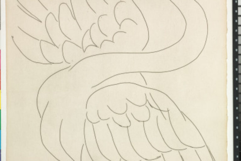 THE SWAN (REFUSED ETCHING)