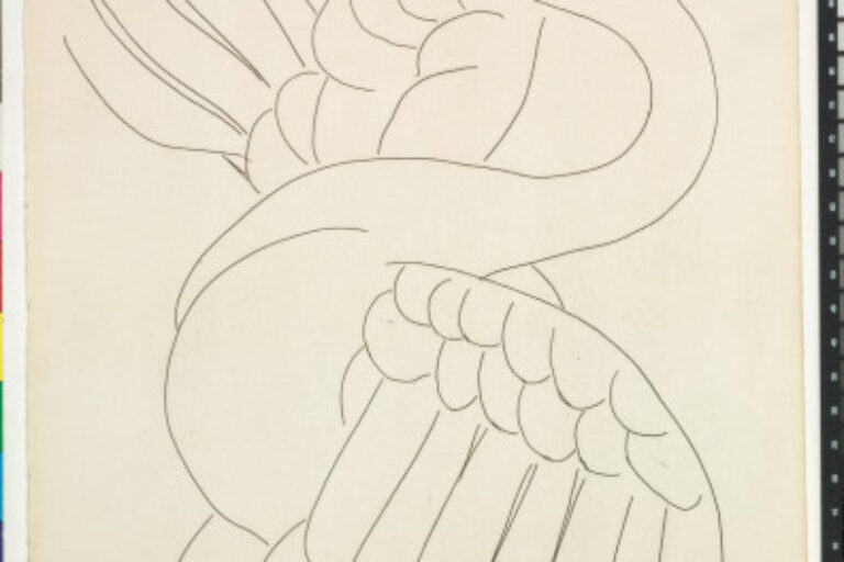 THE SWAN (REFUSED ETCHING)