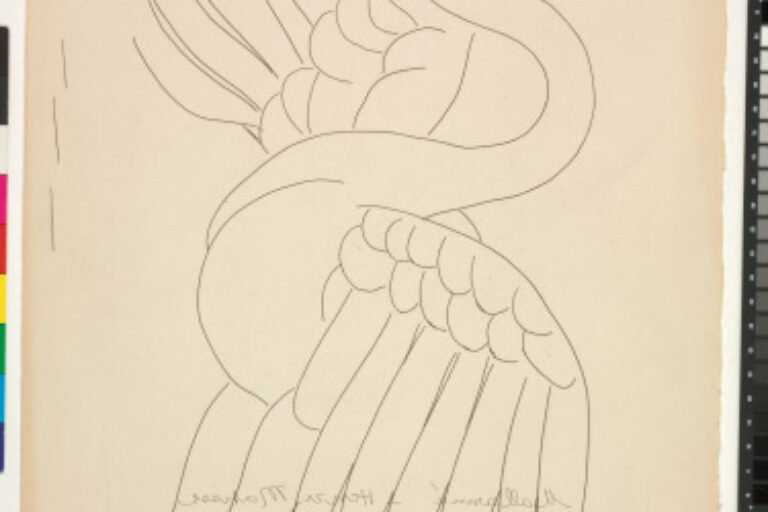 THE SWAN (REFUSED ETCHING, CANCELLED)