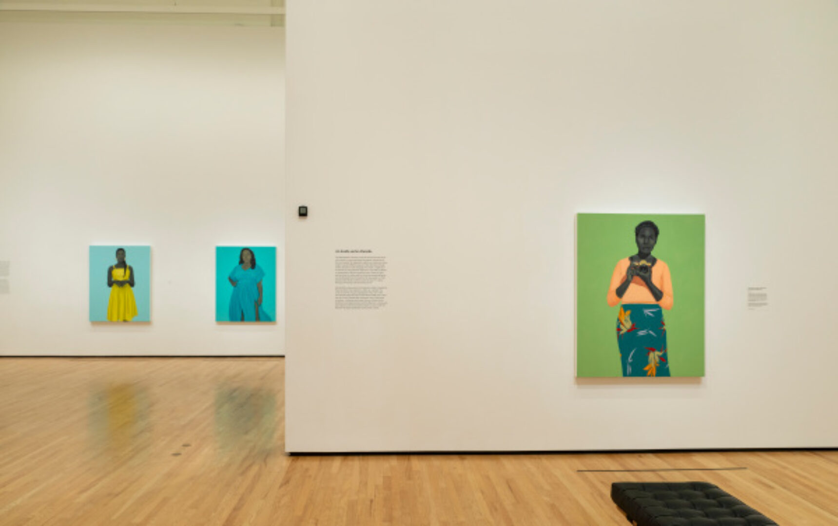 Amy Sherald: American Sublime