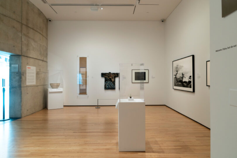 The Way of Nature: Art from Japan, China, and Korea