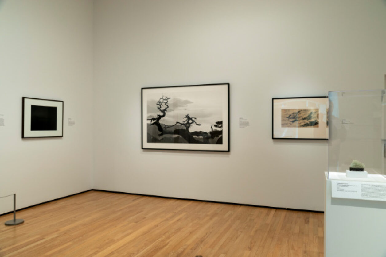 The Way of Nature: Art from Japan, China, and Korea
