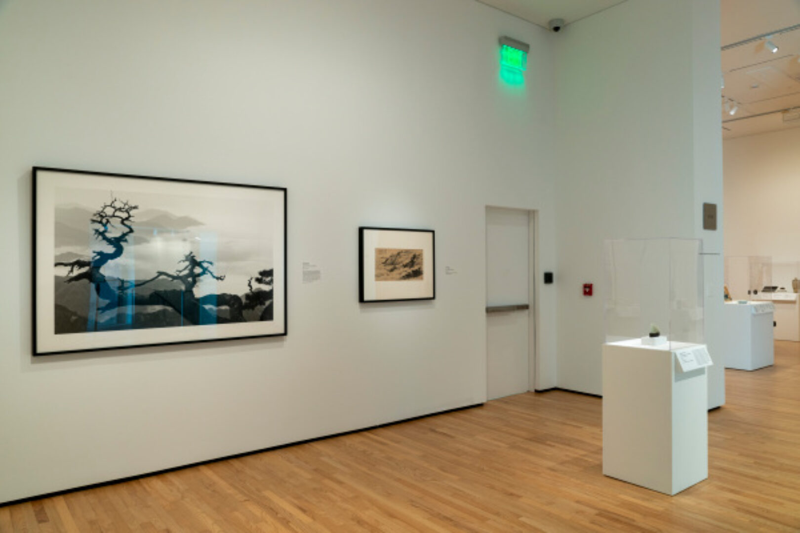 The Way of Nature: Art from Japan, China, and Korea